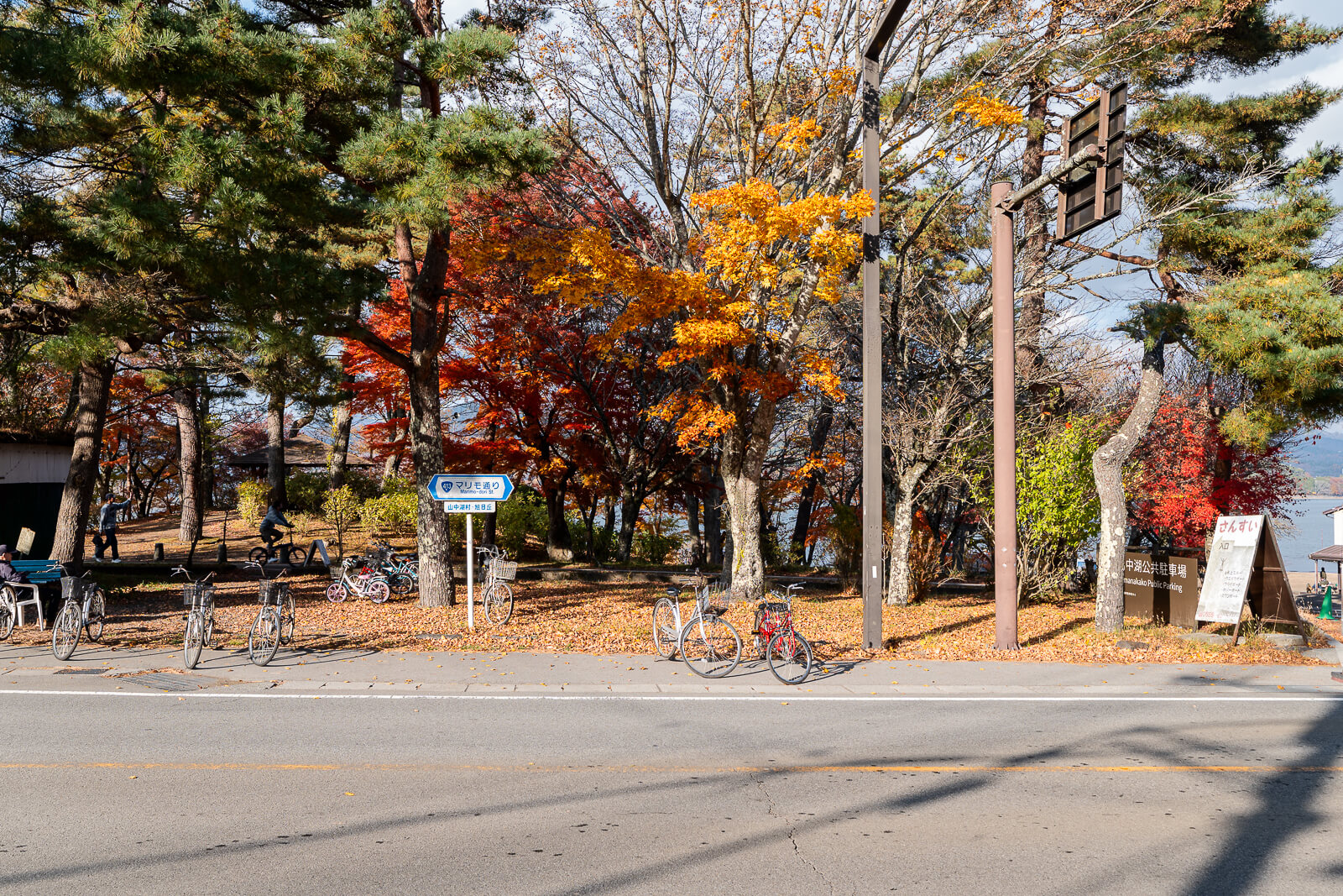 Bicycles beside the entrance with the lake beyond at Asahigaoka Park, Lake Yamanakako