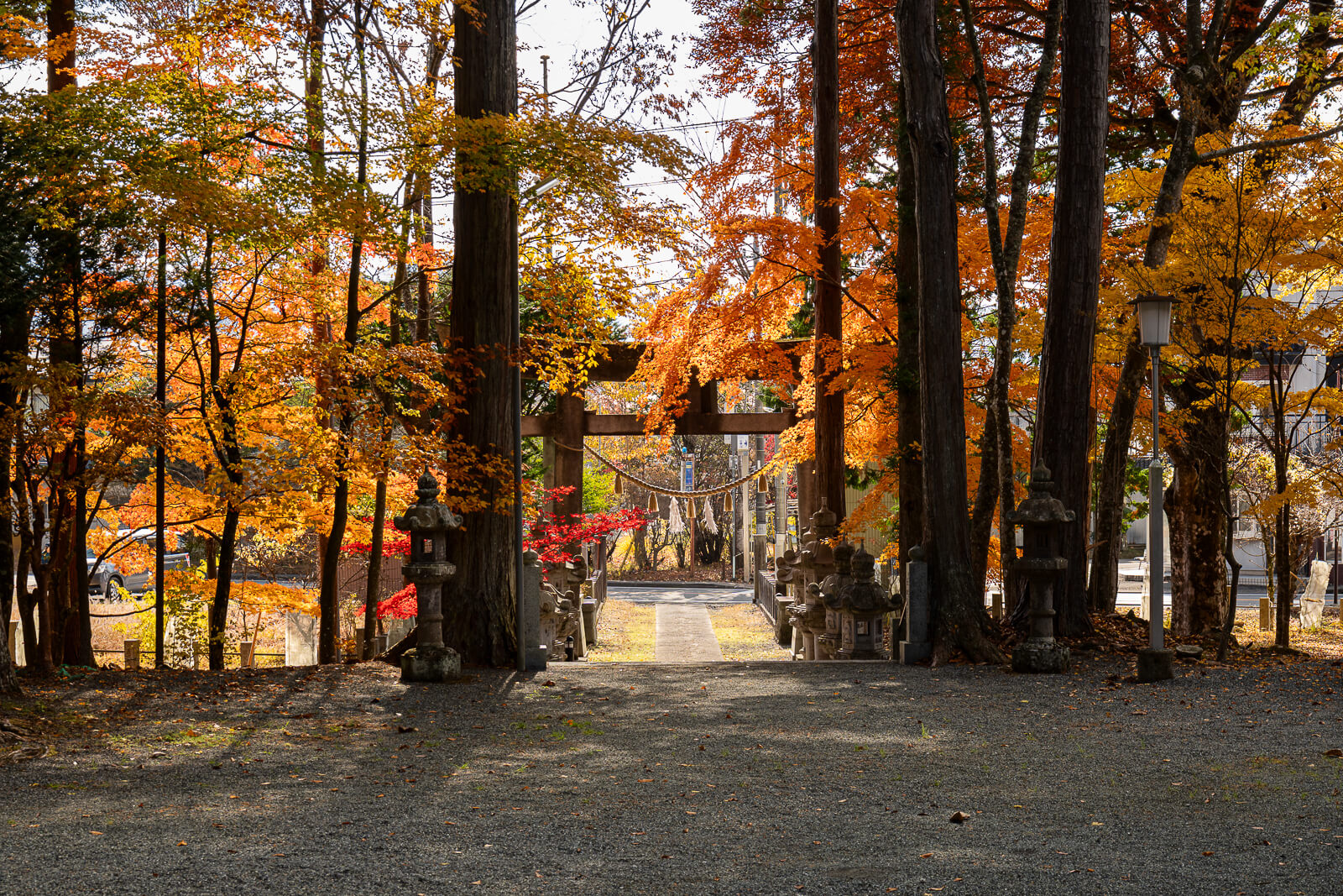 Reverse view along the tree-lined approach at Hirano Tenmangu