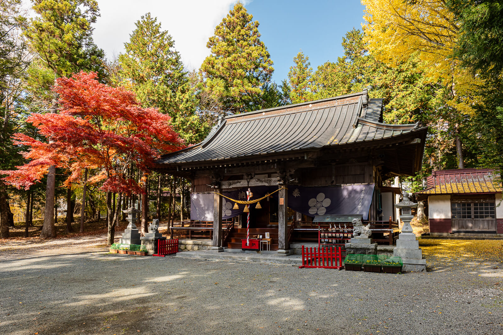 Side view of the hall and red maples at Hirano Tenmangu