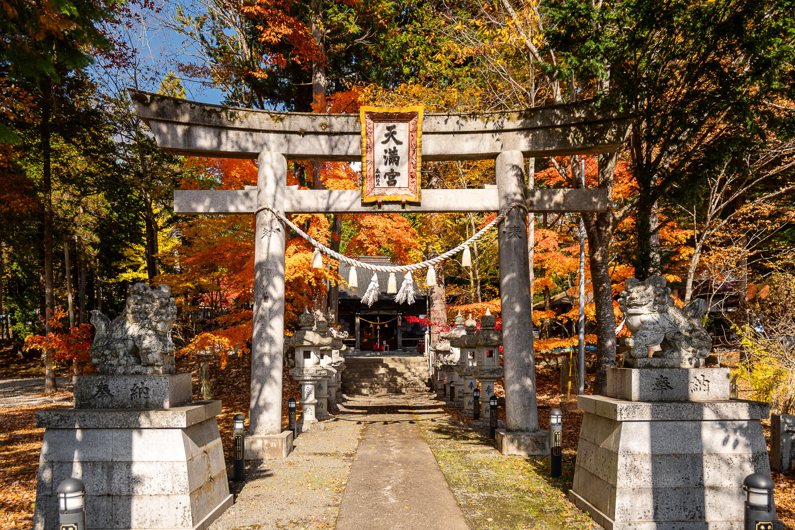 Torii and guardians framing the approach at Hirano Tenmangu