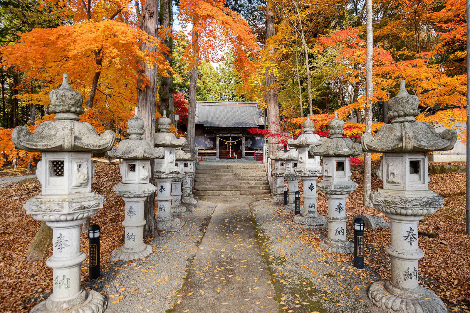 Paired rows of stone lanterns leading to the hall at Hirano Tenmangu