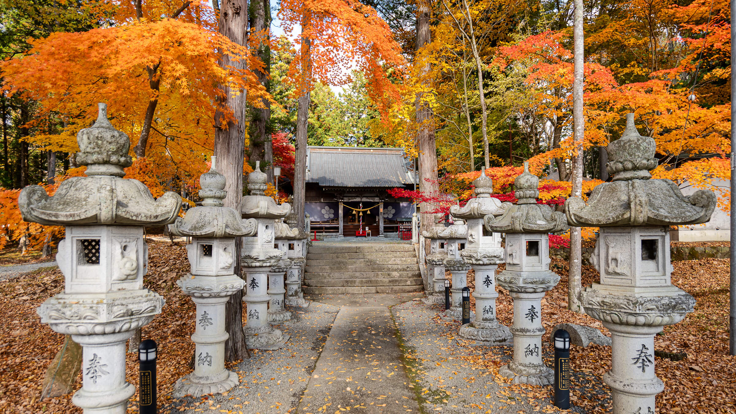 Stone lanterns lining the approach to Hirano Tenmangu Shrine beneath vivid orange and red autumn foliage.