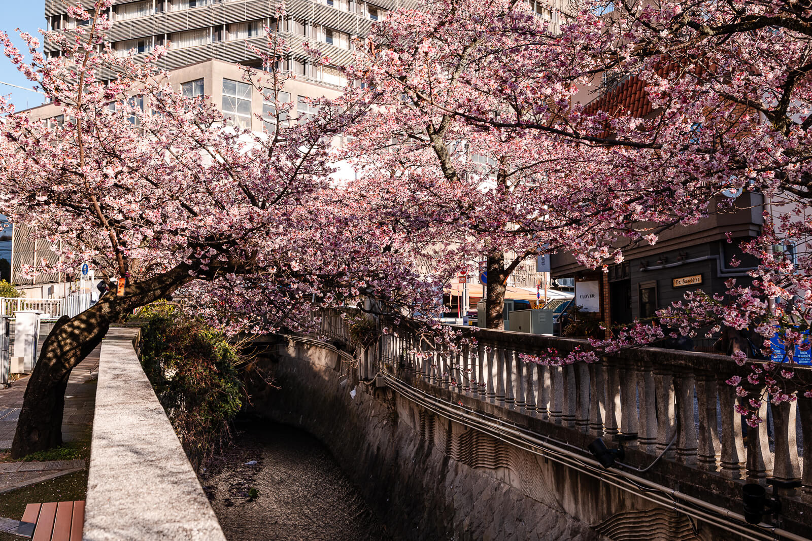 River channel flowing through the Itokawa Promenade corridor in Atami
