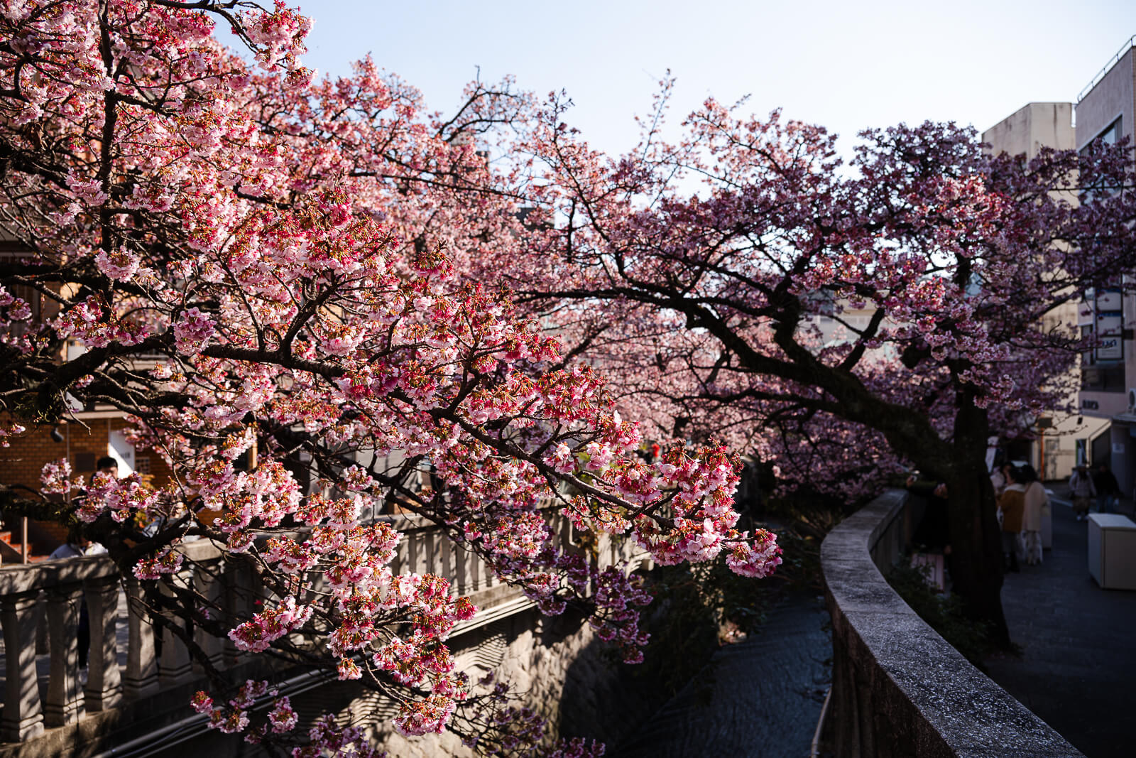 River corridor and pedestrian walkway at Itokawa Promenade in Atami