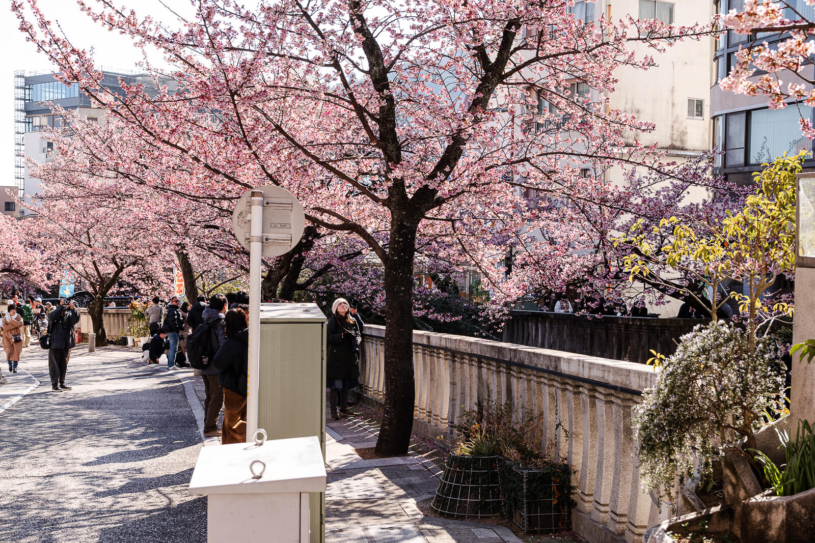 Pedestrian walkway beside the river at Itokawa Promenade in Atami
