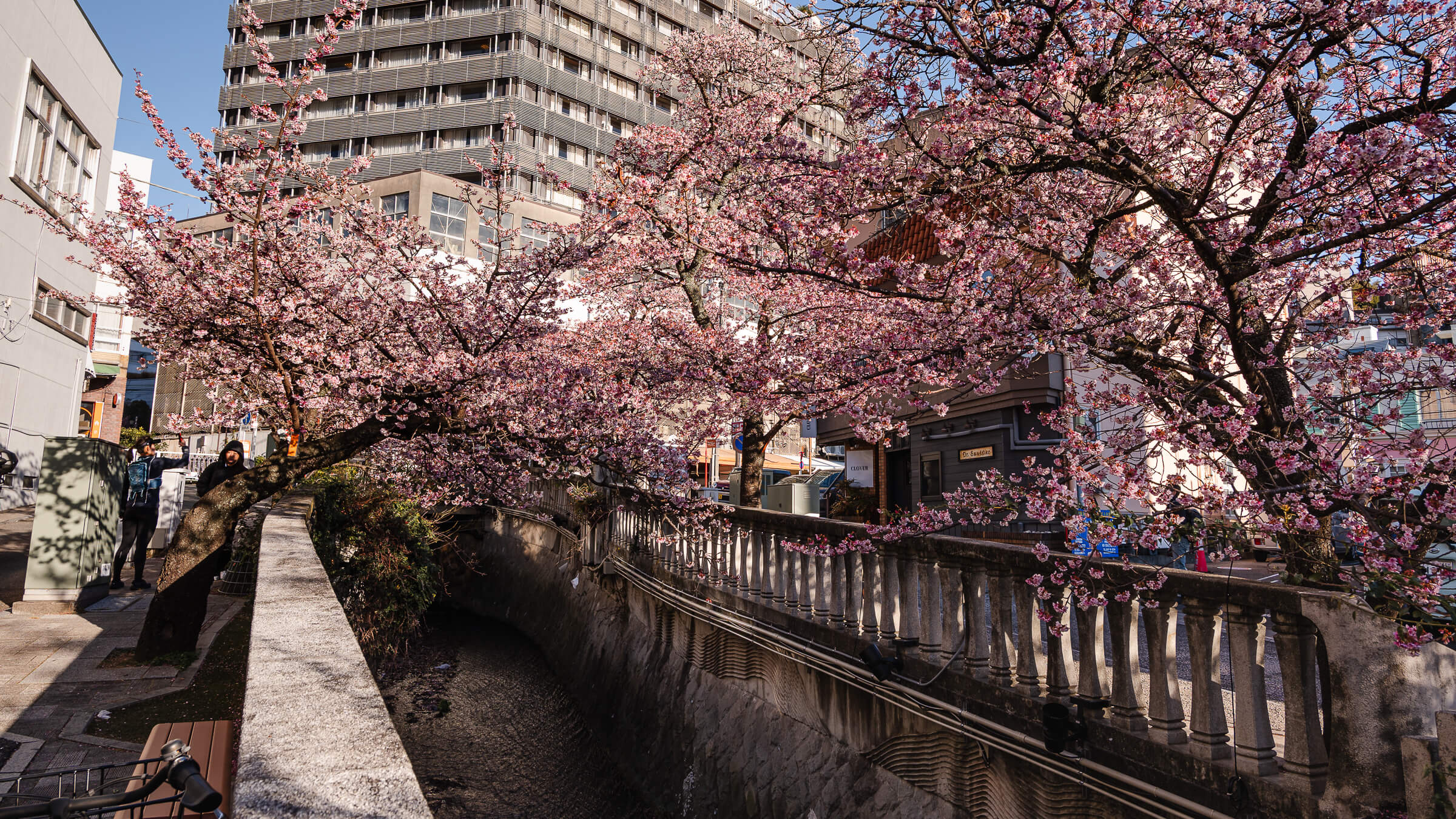 Read more about the article Itokawa Promenade — What It’s Like, Why It Matters, and How It Fits a Visit in Atami