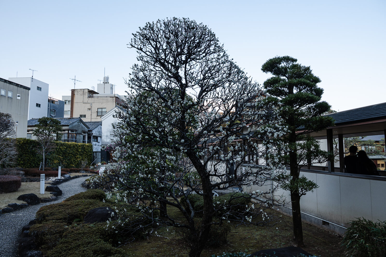Garden landscape and trees surrounding Kiunkaku villa grounds in Atami