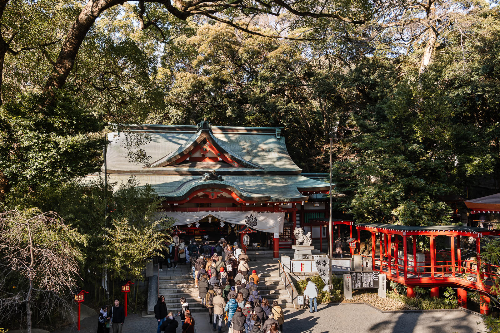 Kinomiya Shrine main hall surrounded by forest in Atami, Shizuoka