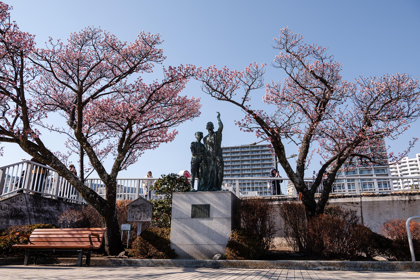 Cherry trees along Atami waterfront promenade near Moon Terrace
