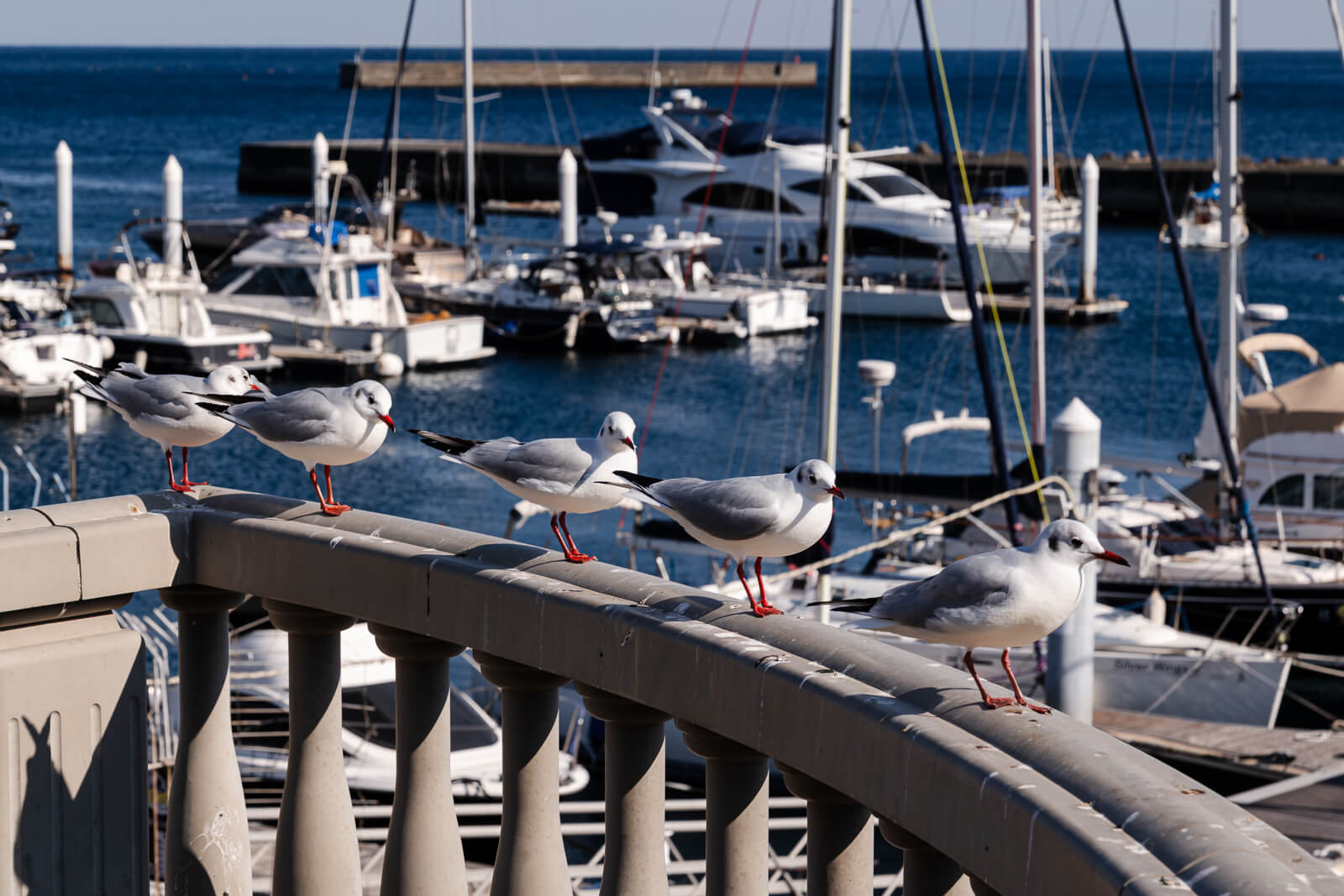 Wooden deck walkway at Atami Water Park facing hillside buildings above the bay