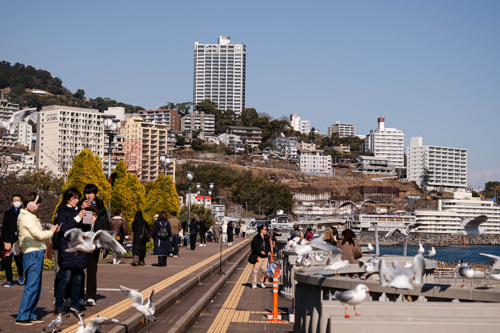 Seagulls circling above the open plaza at Atami Water Park