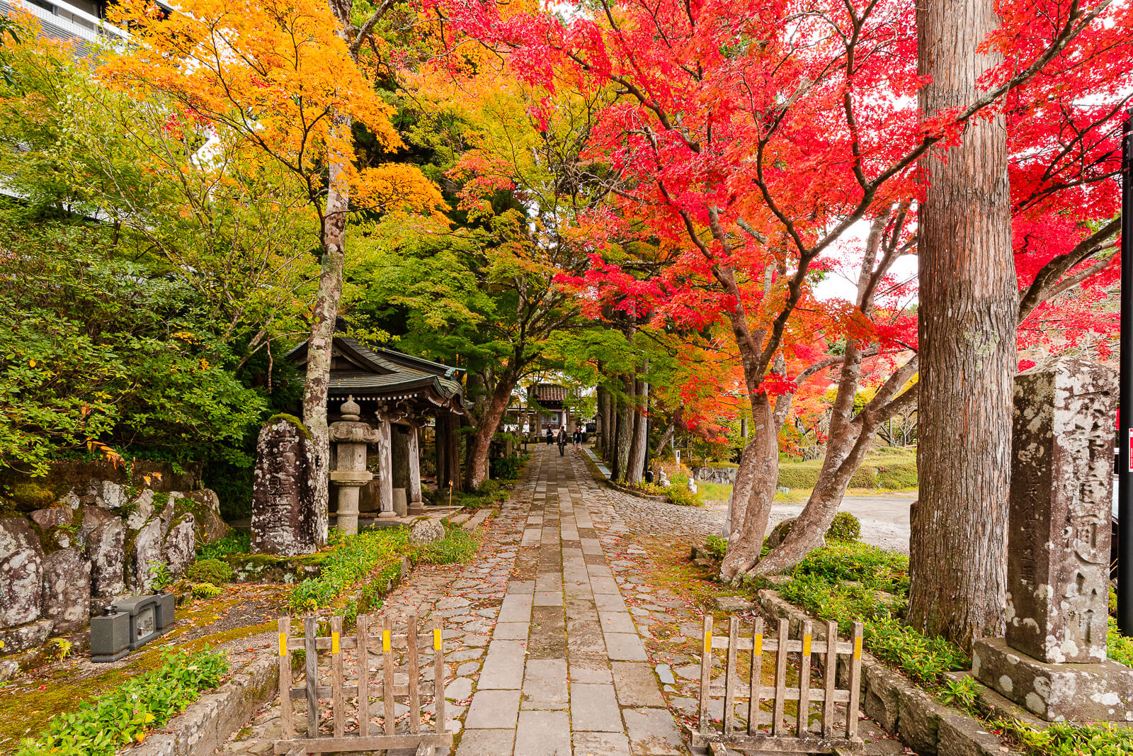 Autumn foliage along the stone-lined approach at Choanji Temple in Sengokuhara, Hakone