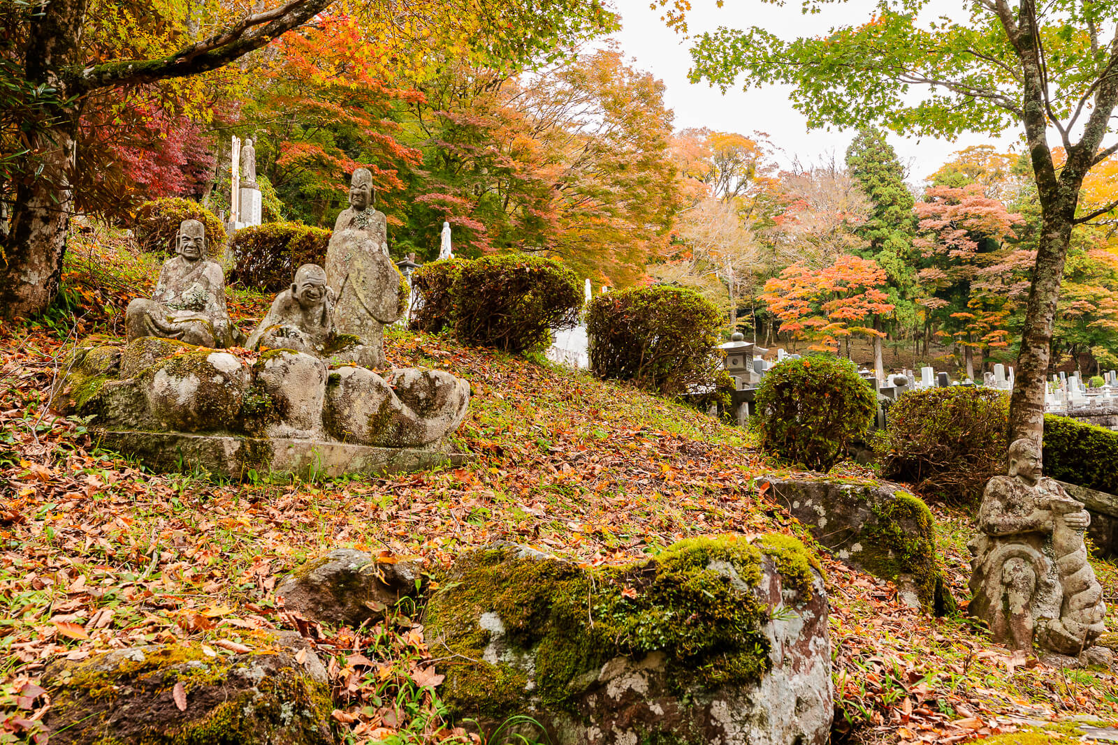 Stone Buddhist statues surrounded by fallen autumn leaves at Choanji Temple in Hakone