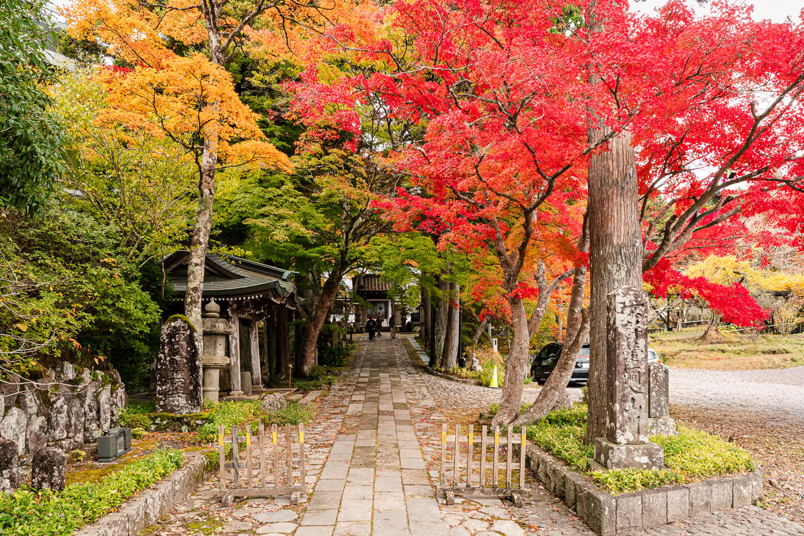 Stone approach beneath vivid red and orange maples at Choanji Temple in Hakone