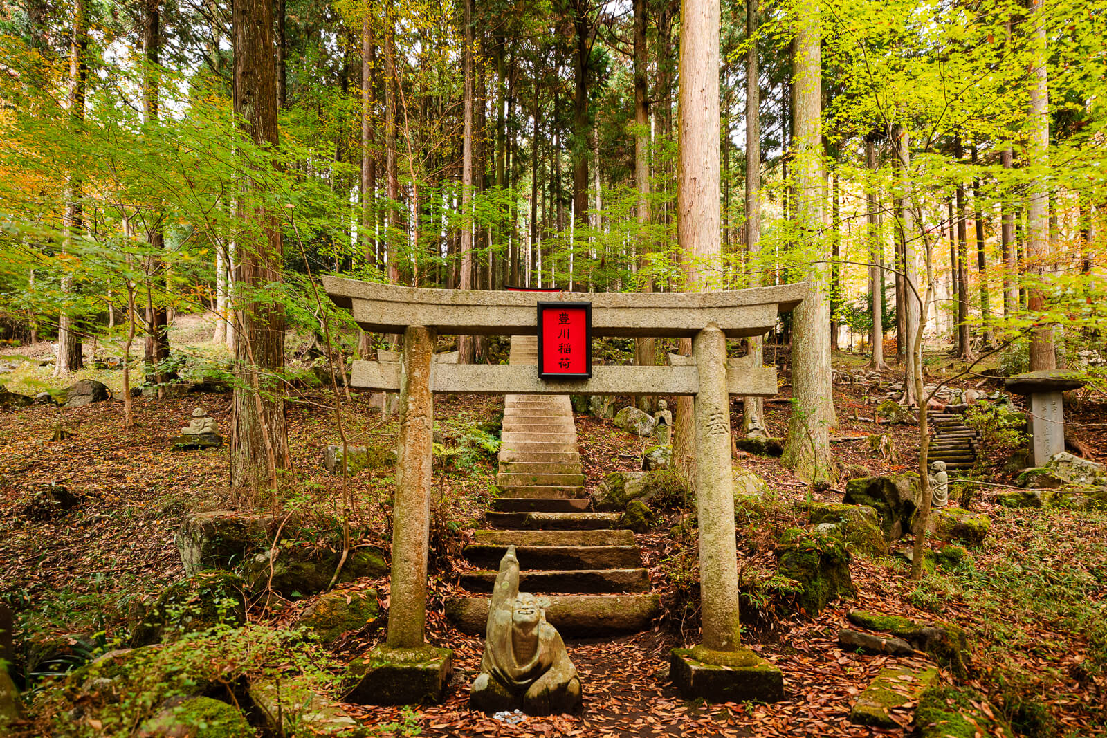 Stone steps climbing through the forest toward the Toyokawa Inari shrine at Choanji