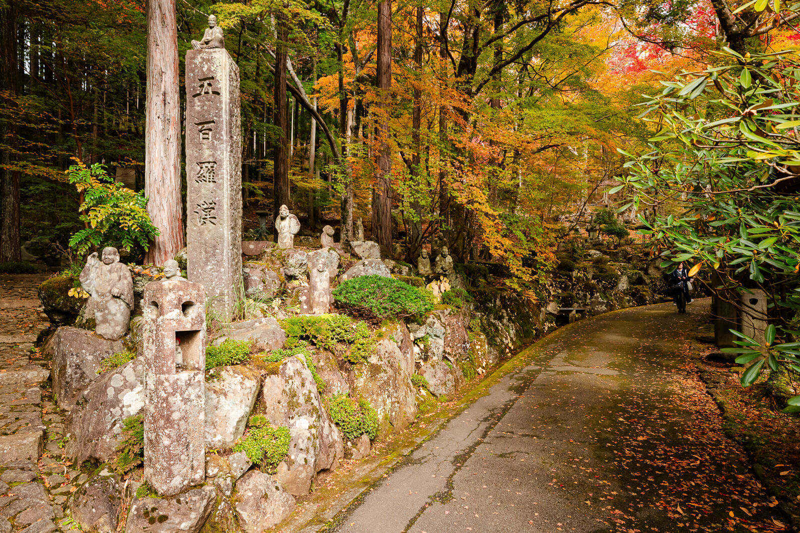 Forest path passing groups of rakan statues on the Choanji hillside