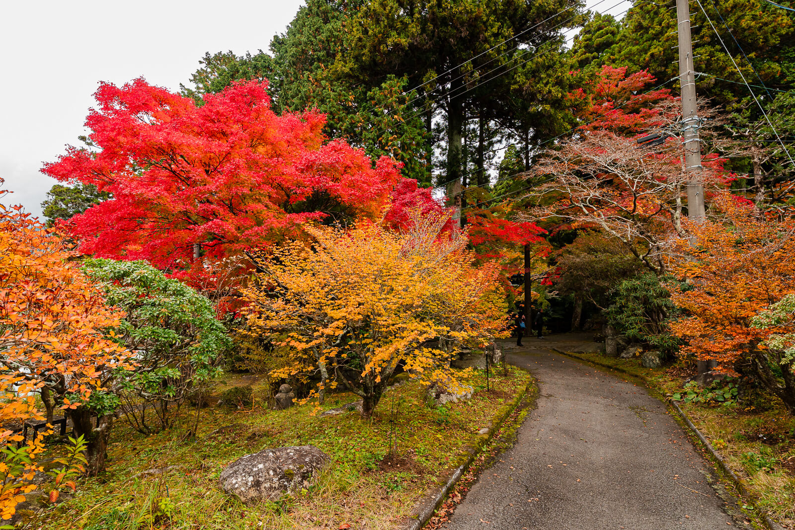 Path beneath vivid red, orange and yellow autumn foliage at Choanji Temple in Hakone