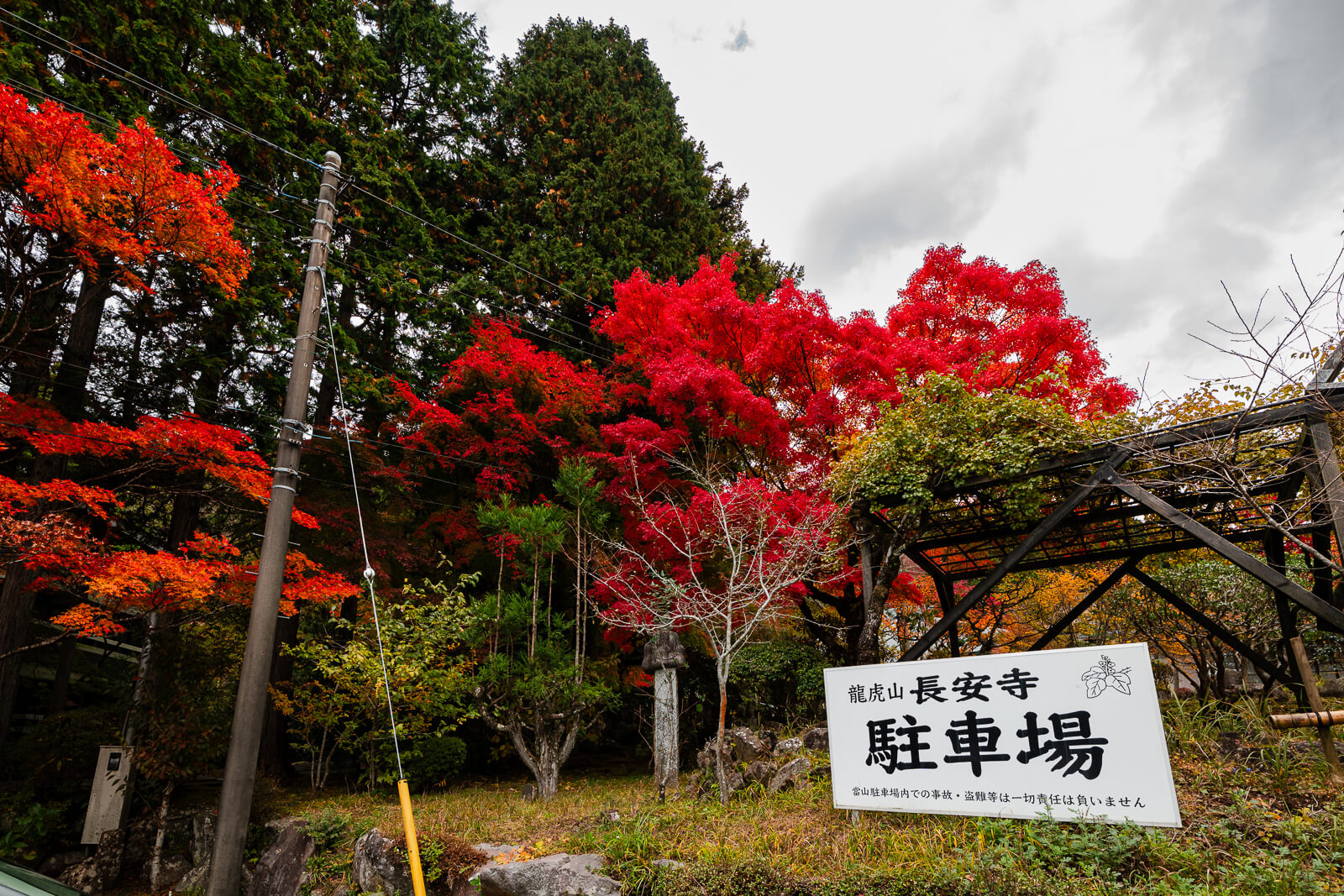 Choanji Temple sign surrounded by brilliant red autumn maples in Hakone