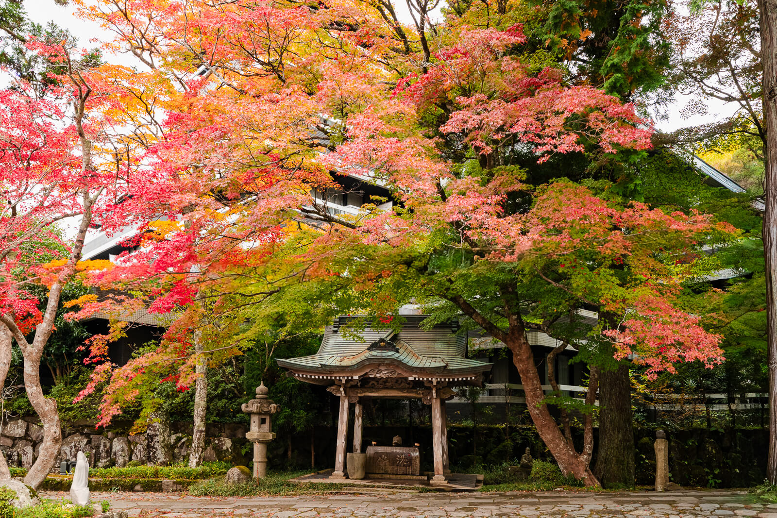 Temple structure framed by red and orange autumn foliage at Choanji in Hakone