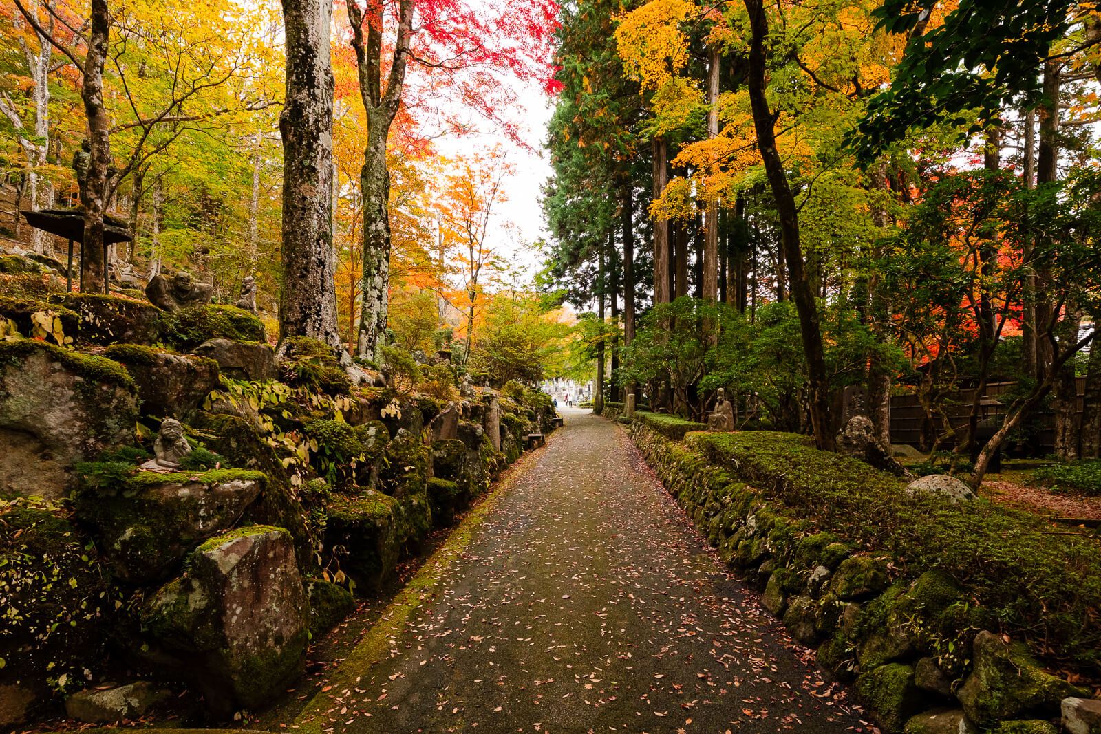 Maintained forest path through the autumn woods at Choanji Temple