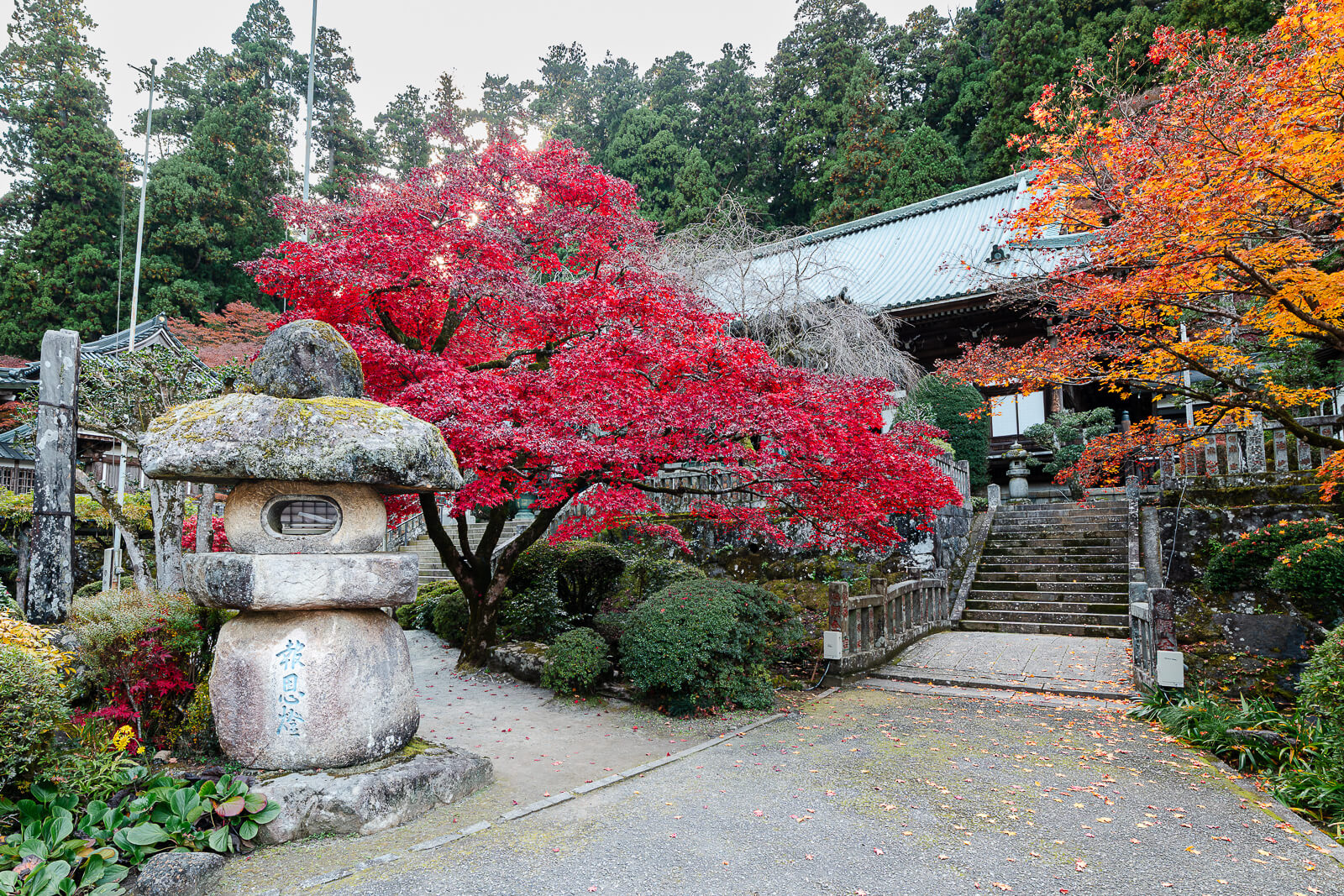 Red and orange maple trees beside a stone lantern and temple steps at Daiyuzan Saijoji