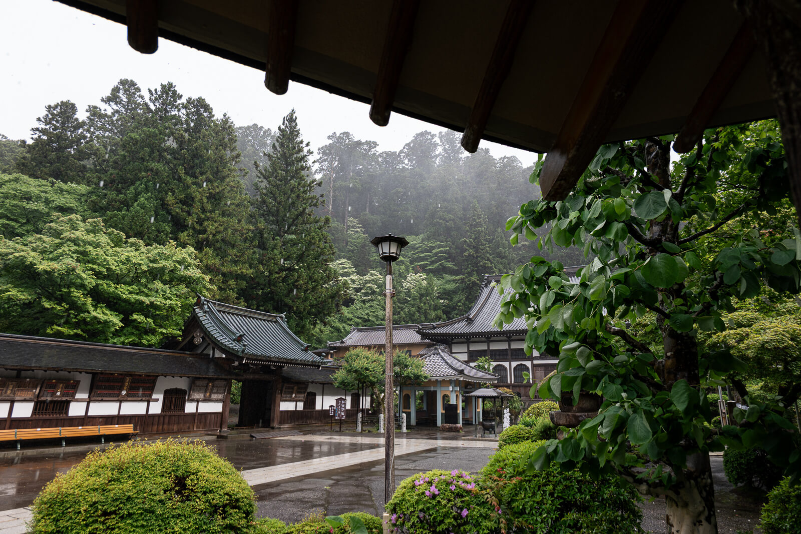 View of courtyard at Daiyuzan Saijoji Temple with view of side exit to forest pathway