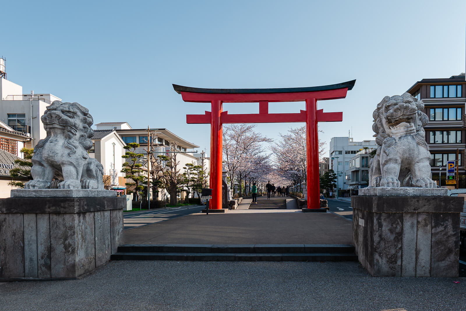 Red torii gate and stone komainu marking the entrance to the cherry-lined Dankazura avenue in central Kamakura