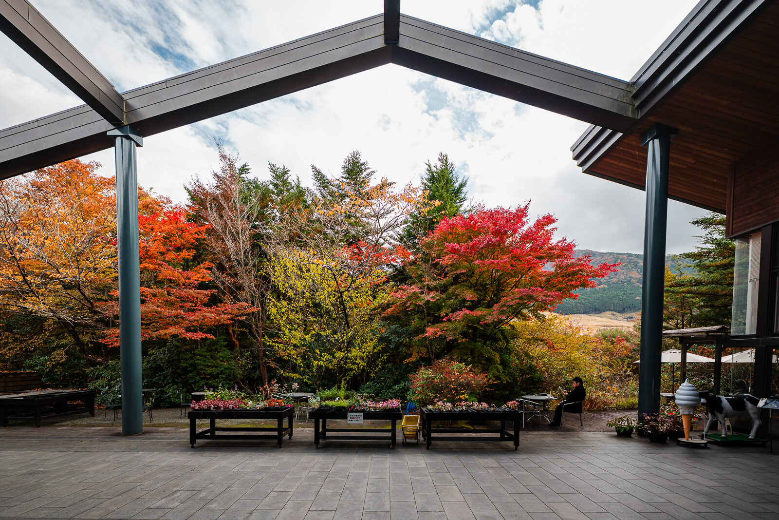 Covered entrance area with autumn trees at Hakone Botanical Garden of Wetlands