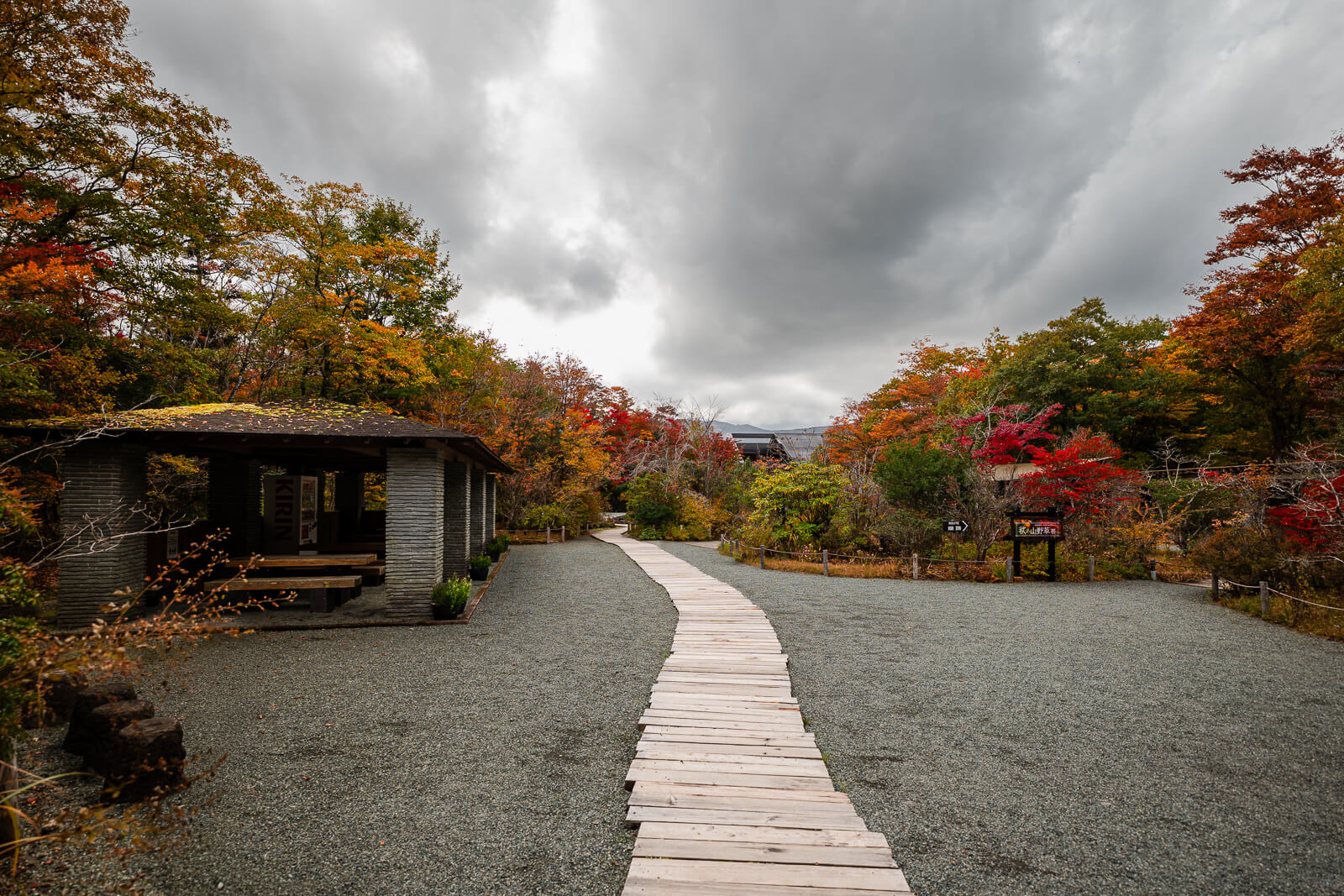 Wooden path leading from the landscaped garden toward the wetland route at Hakone Botanical Garden of Wetlands