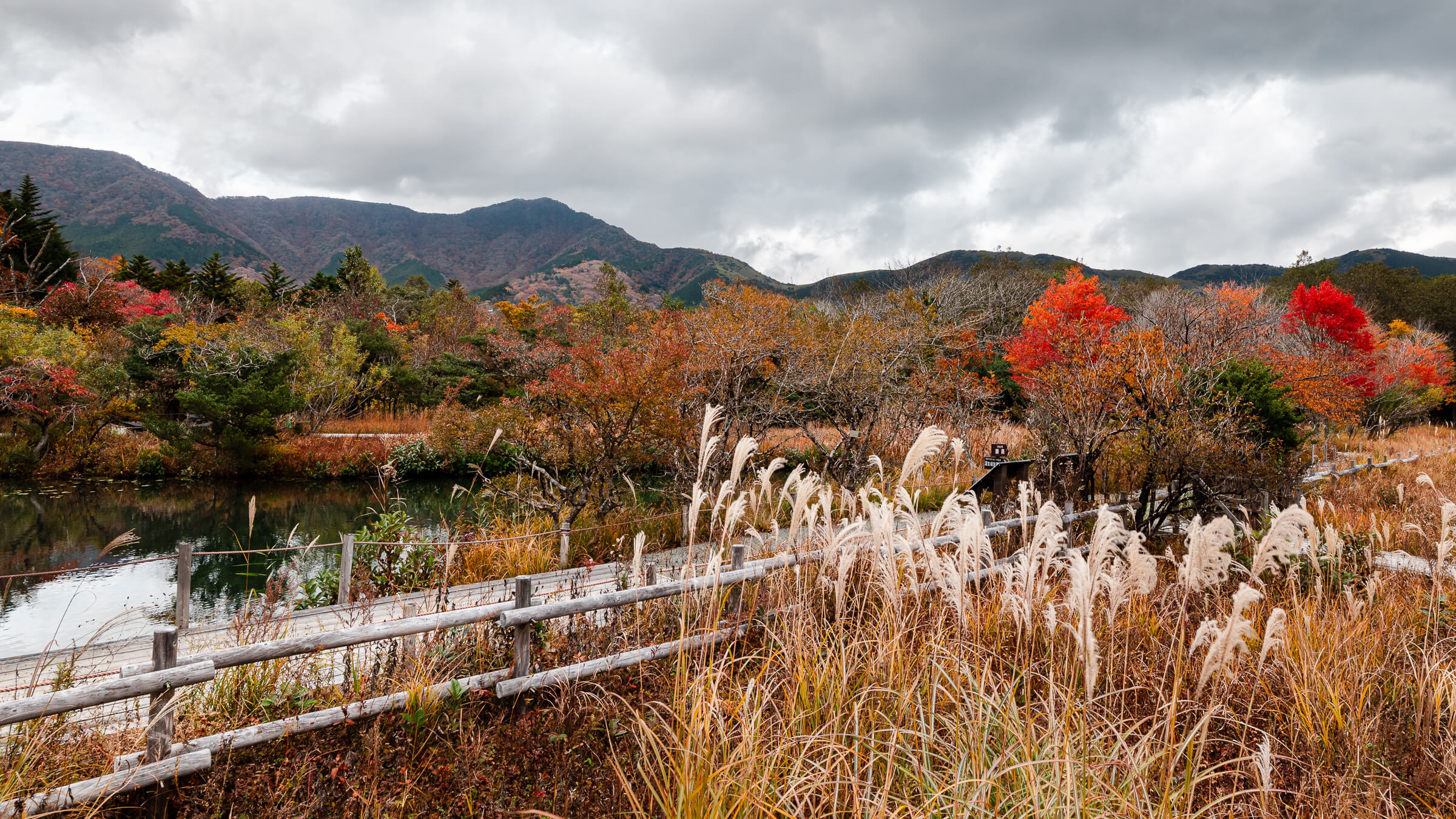 Hakone Botanical Garden of Wetlands in Sengokuhara