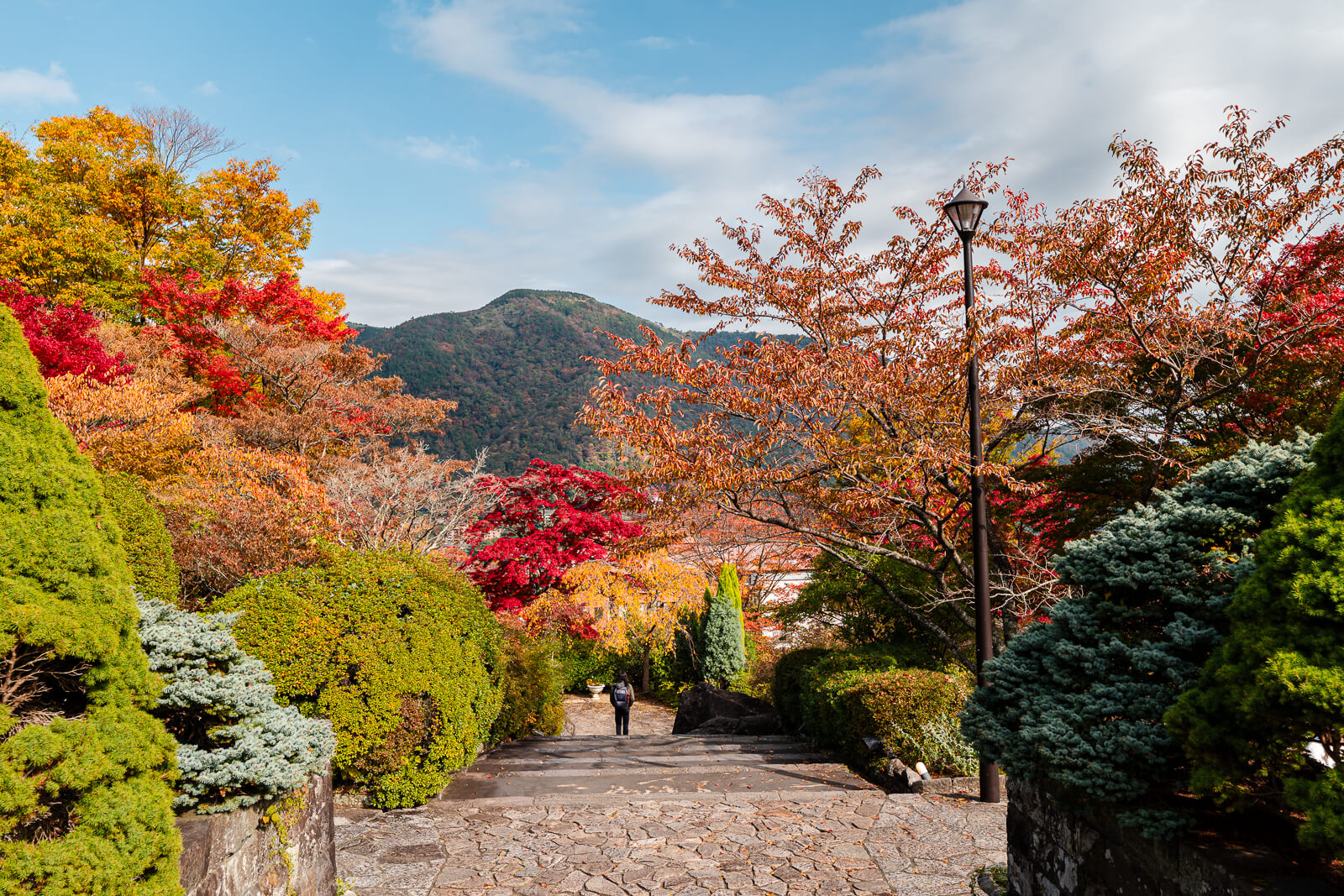 Red and yellow autumn foliage above a path at Hakone Gora Park