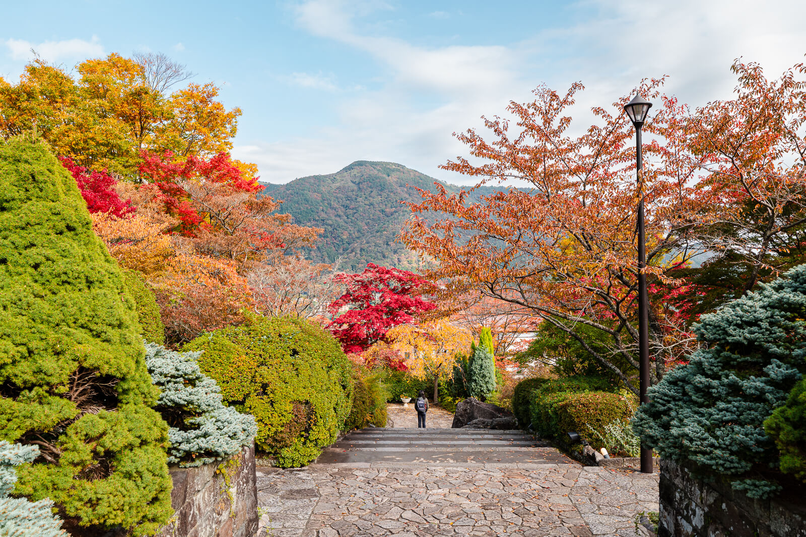 Maple foliage lining a garden path at Hakone Gora Park