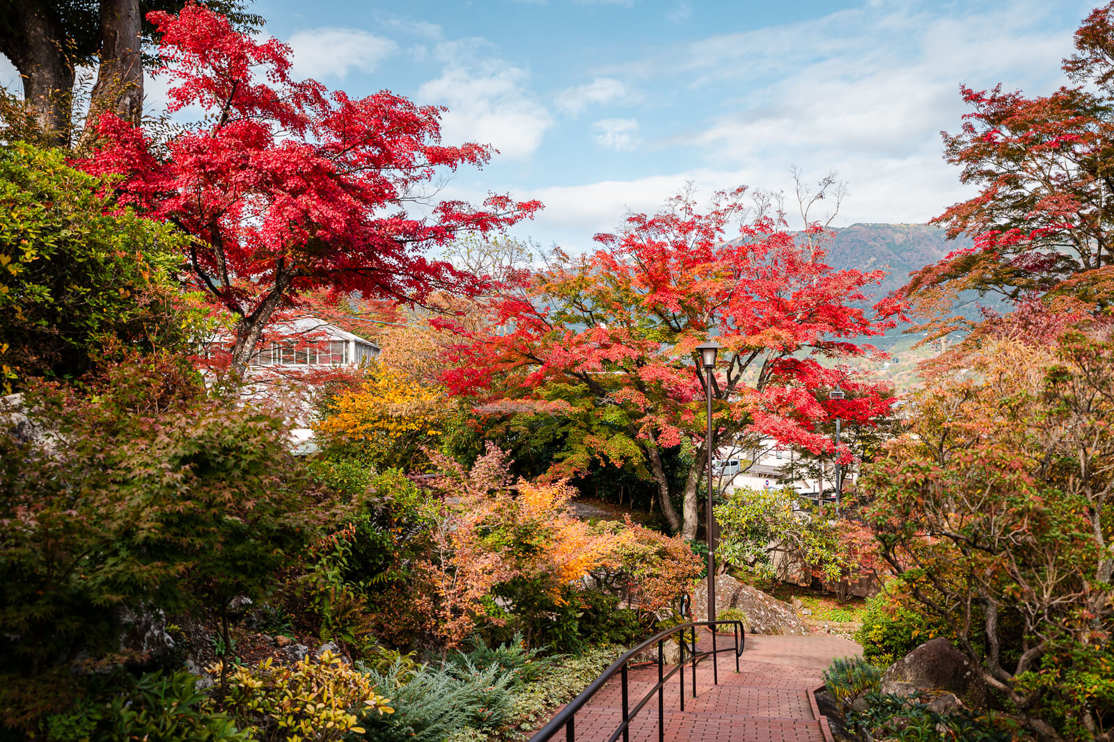 Garden path beneath red maple foliage at Hakone Gora Park