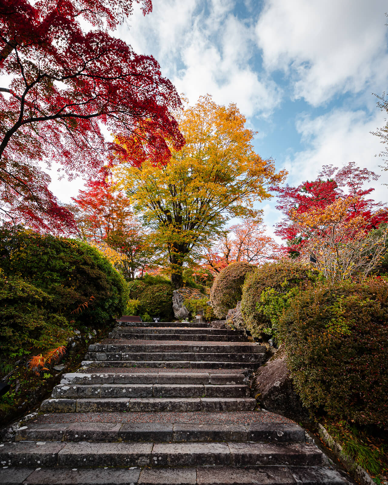 Stone steps climbing through autumn foliage at Hakone Gora Park