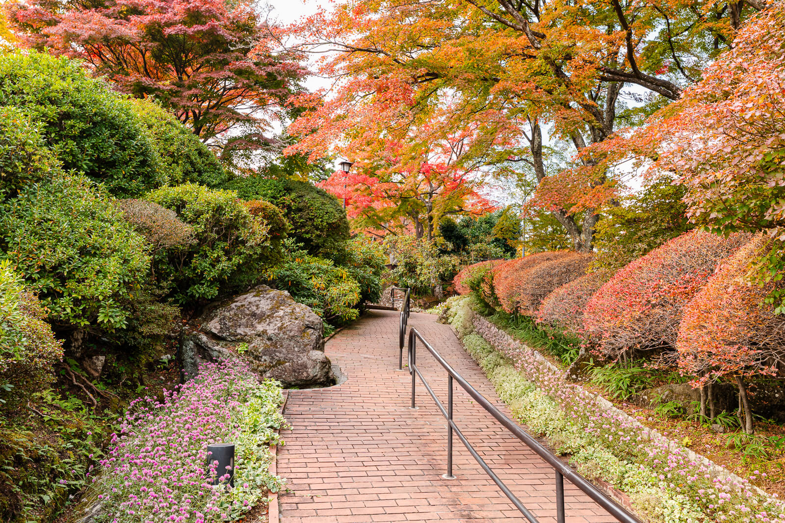 Garden path descending through autumn foliage at Hakone Gora Park