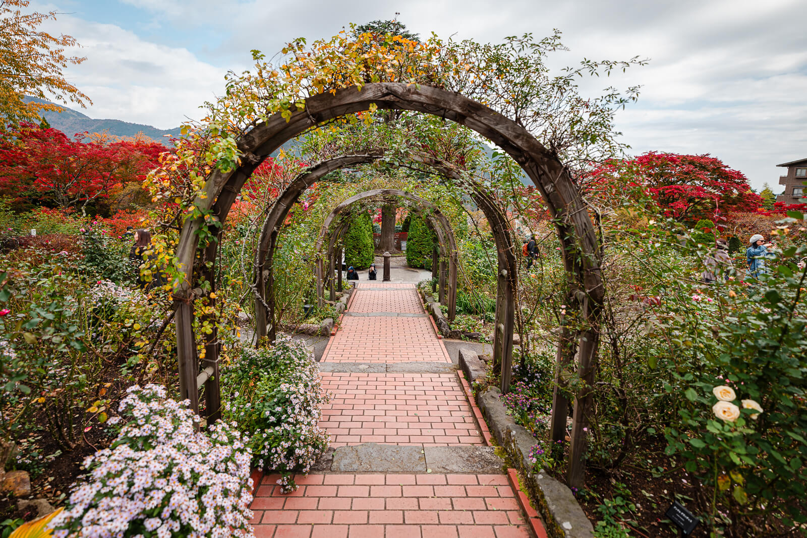 Rose arch and formal path inside Hakone Gora Park