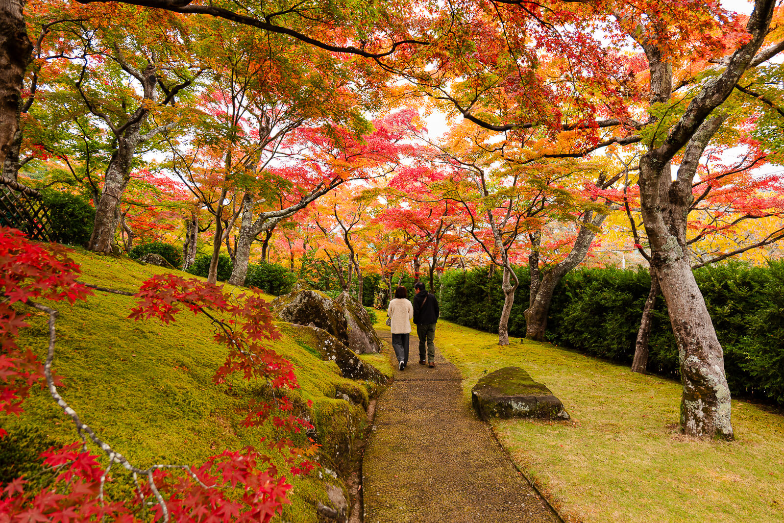Visitors walking beneath red and orange autumn maples in Shinsenkyo Garden at the Hakone Museum of Art
