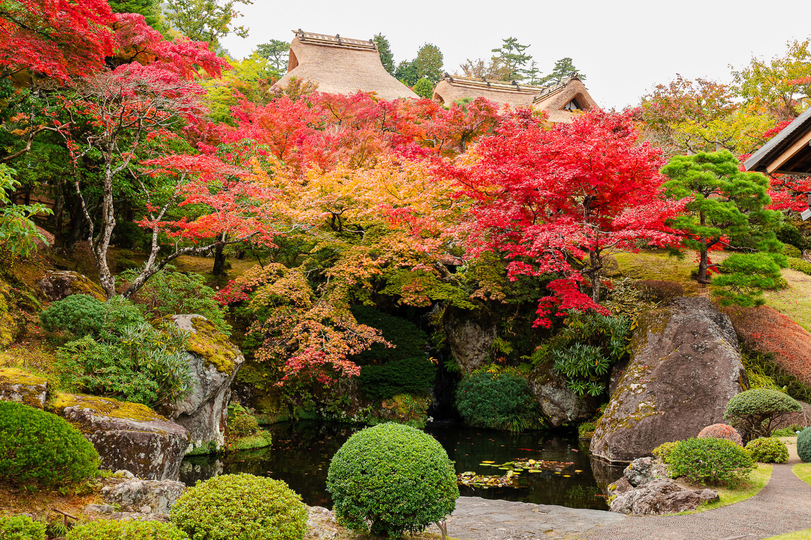 Red autumn maples surrounding the pond and landscaped grounds of Shinsenkyo Garden at the Hakone Museum of Art