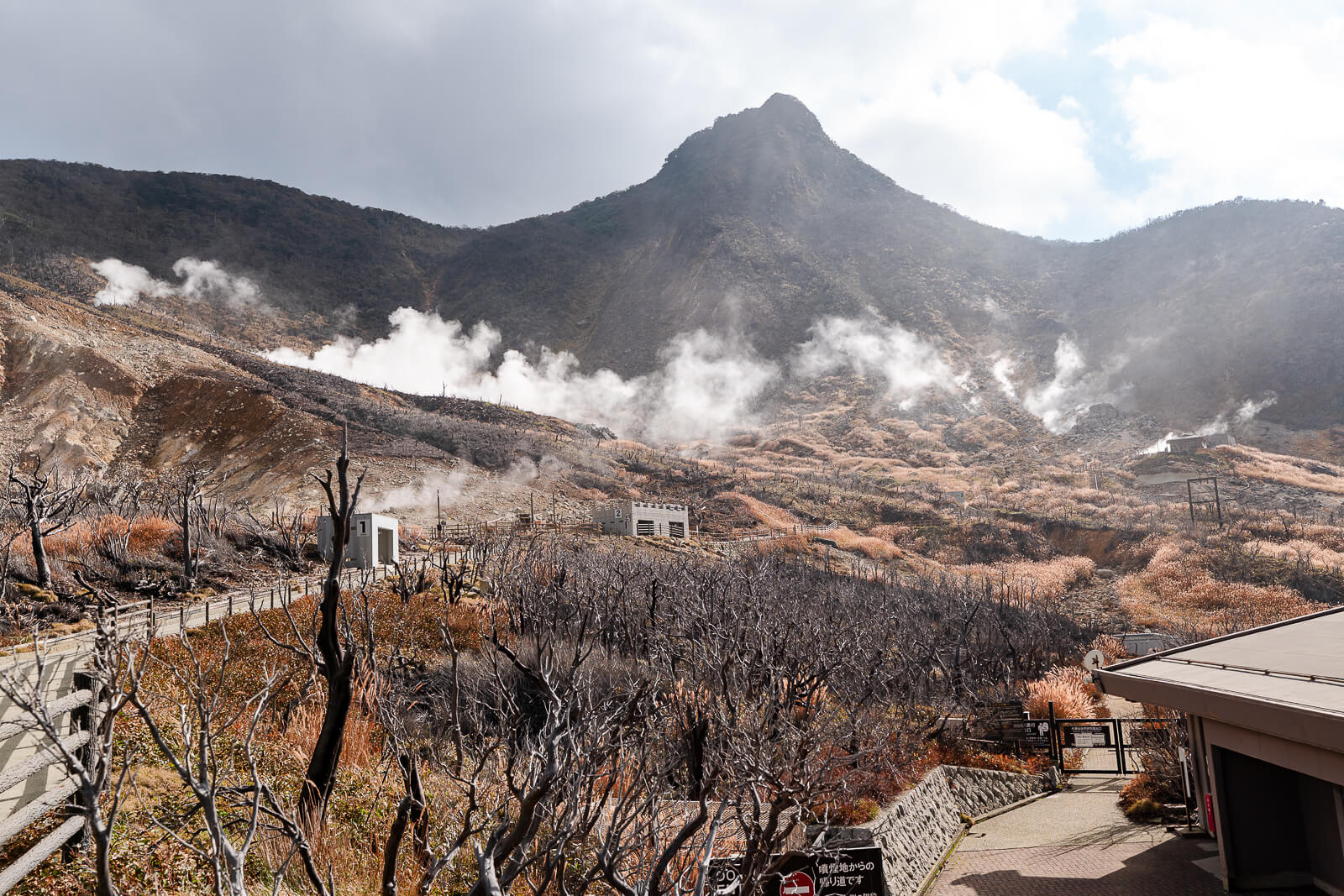 Elevated walkway overlooking steaming vents and terraced slopes in Owakudani