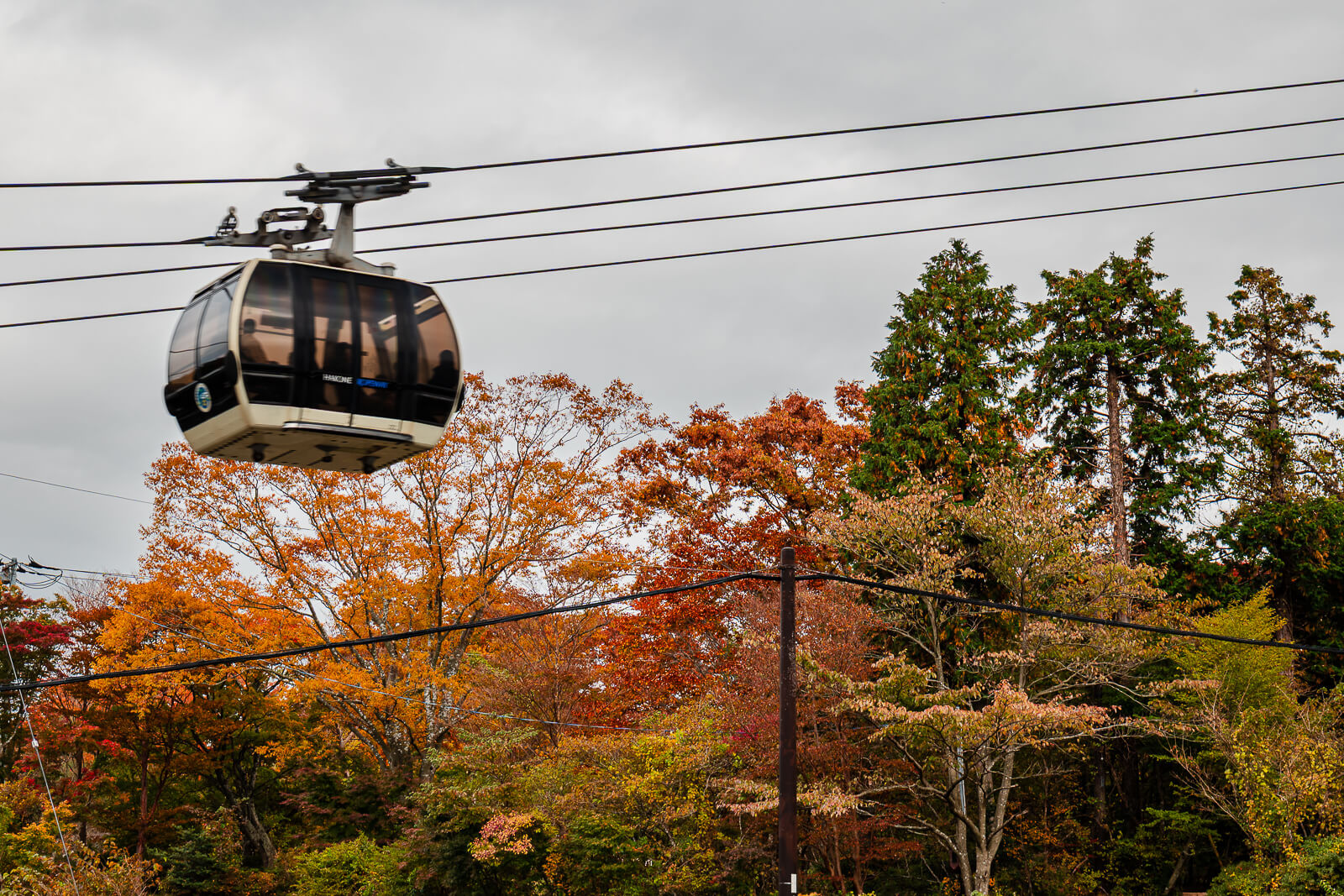 Hakone Ropeway gondola passing above orange autumn foliage near Togendai