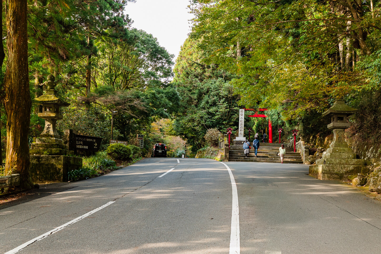 Jinja-dori curving through autumn trees on the approach to Hakone Shrine in Motohakone
