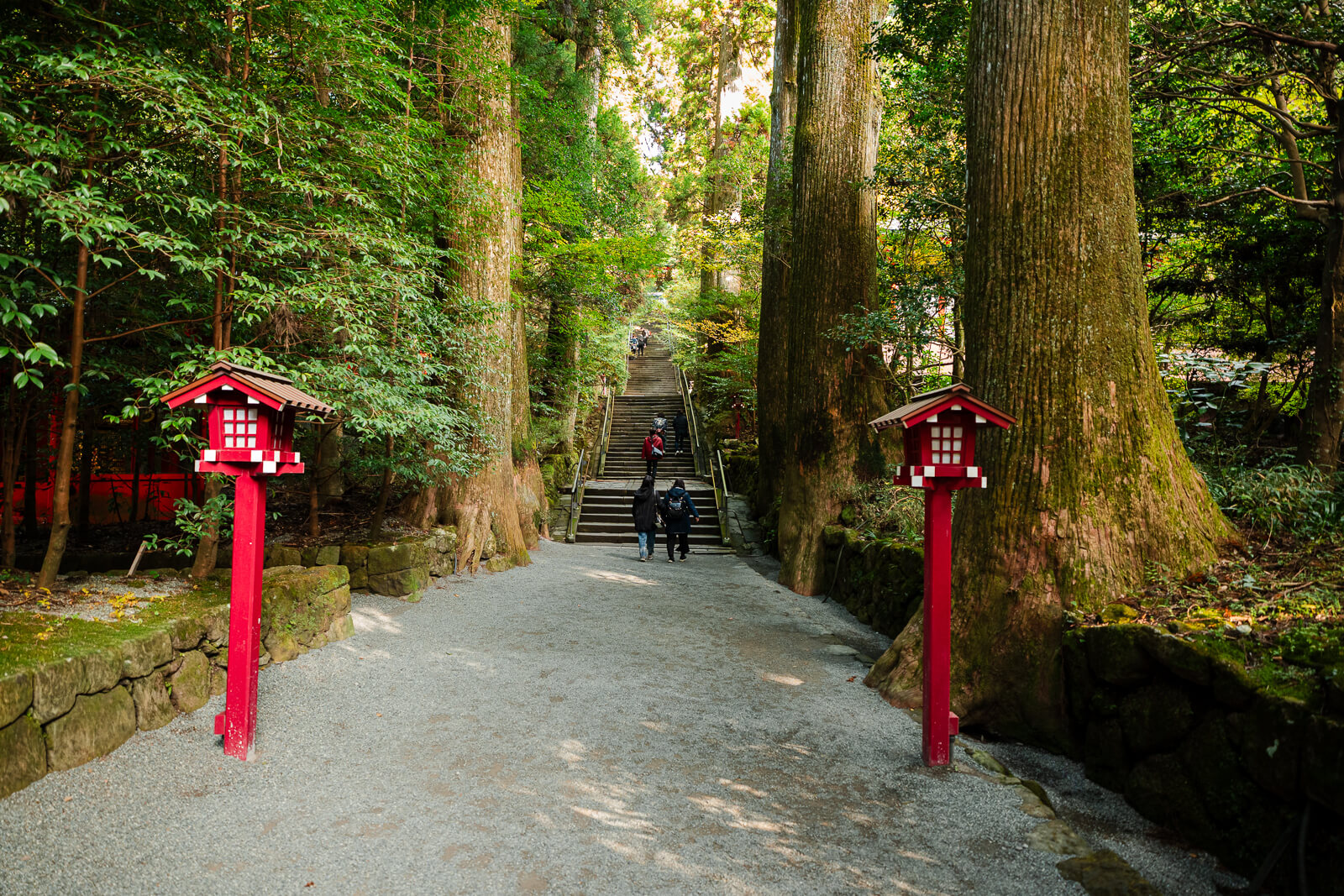 Cedar-lined approach with red lanterns and visitors walking toward the upper grounds of Hakone Shrine in Motohakone