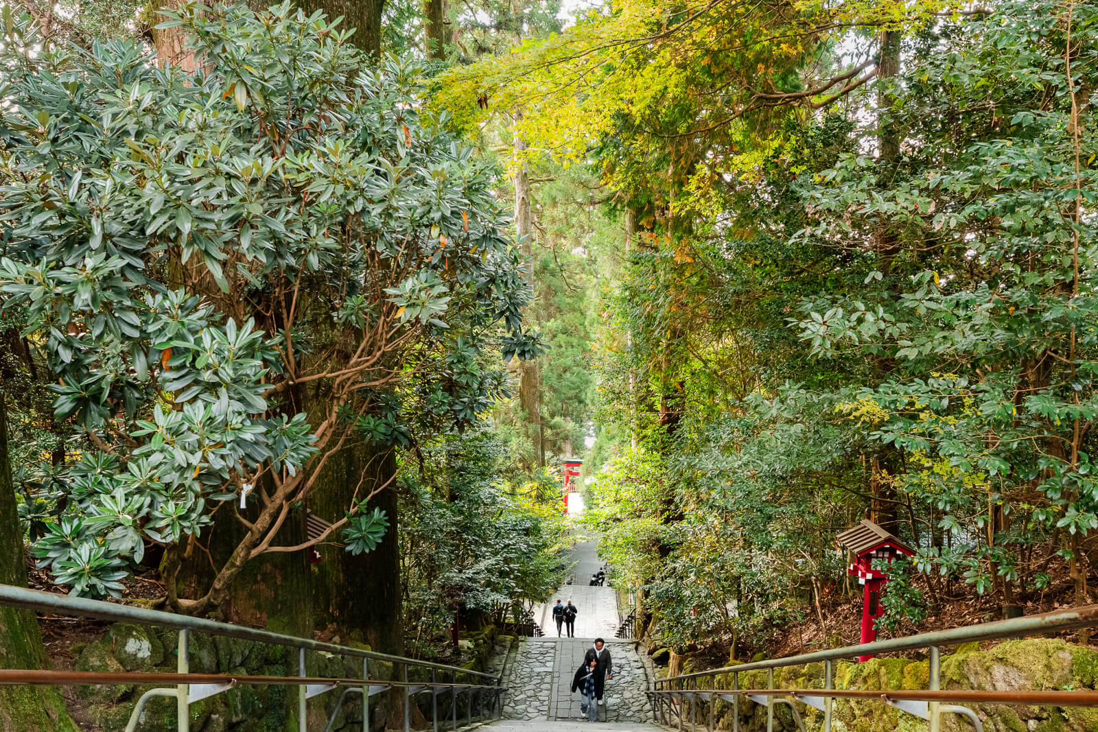 Stone steps with handrails descending through dense trees toward Lake Ashi at Hakone Shrine in Motohakone