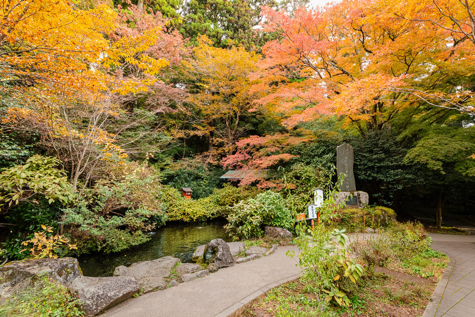 Orange and yellow autumn foliage over a rock-edged pond at Hakone Shrine in Motohakone