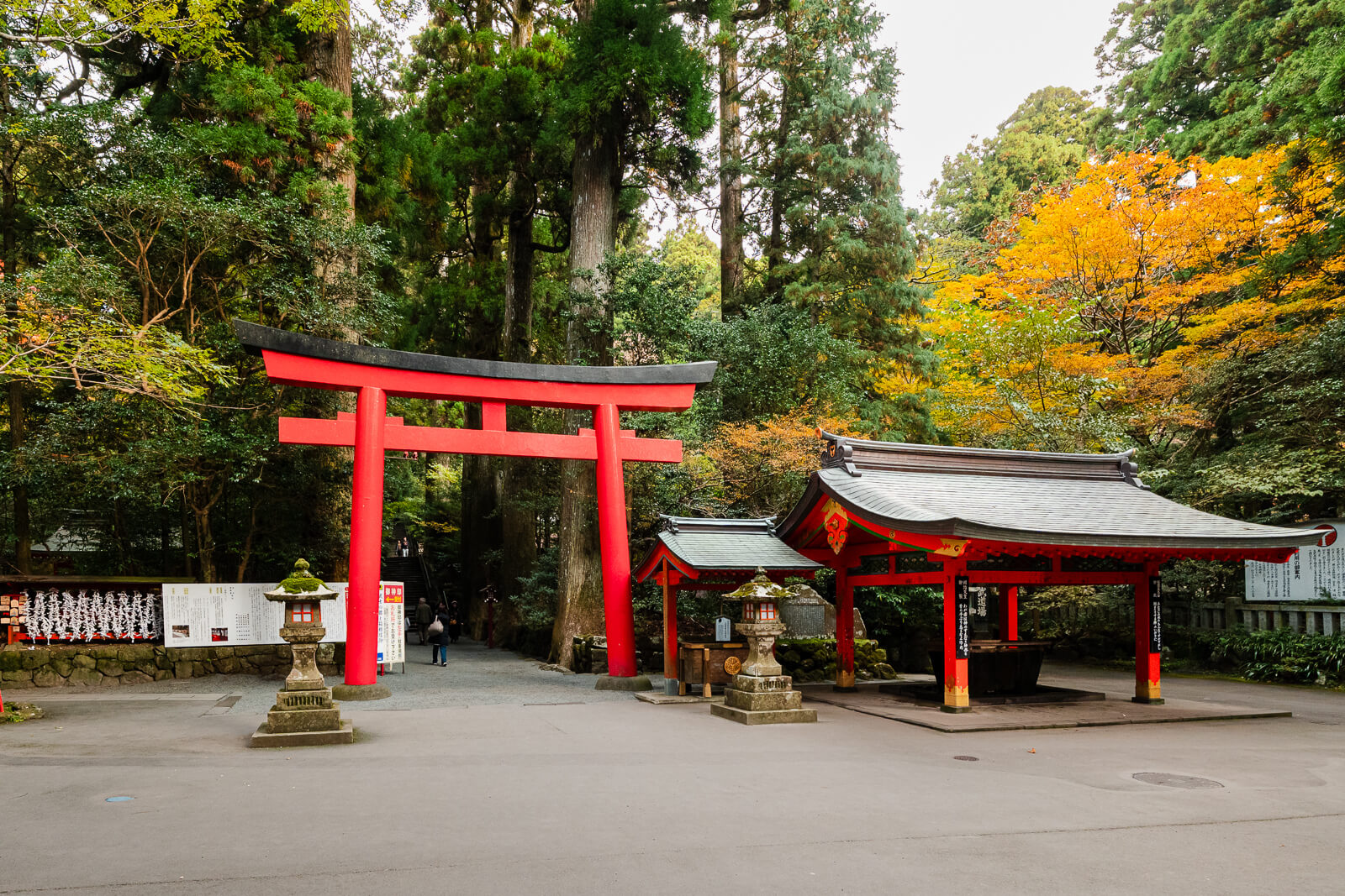 The fourth torii and adjacent purification pavilion at the foot of the main approach at Hakone Shrine in Motohakone