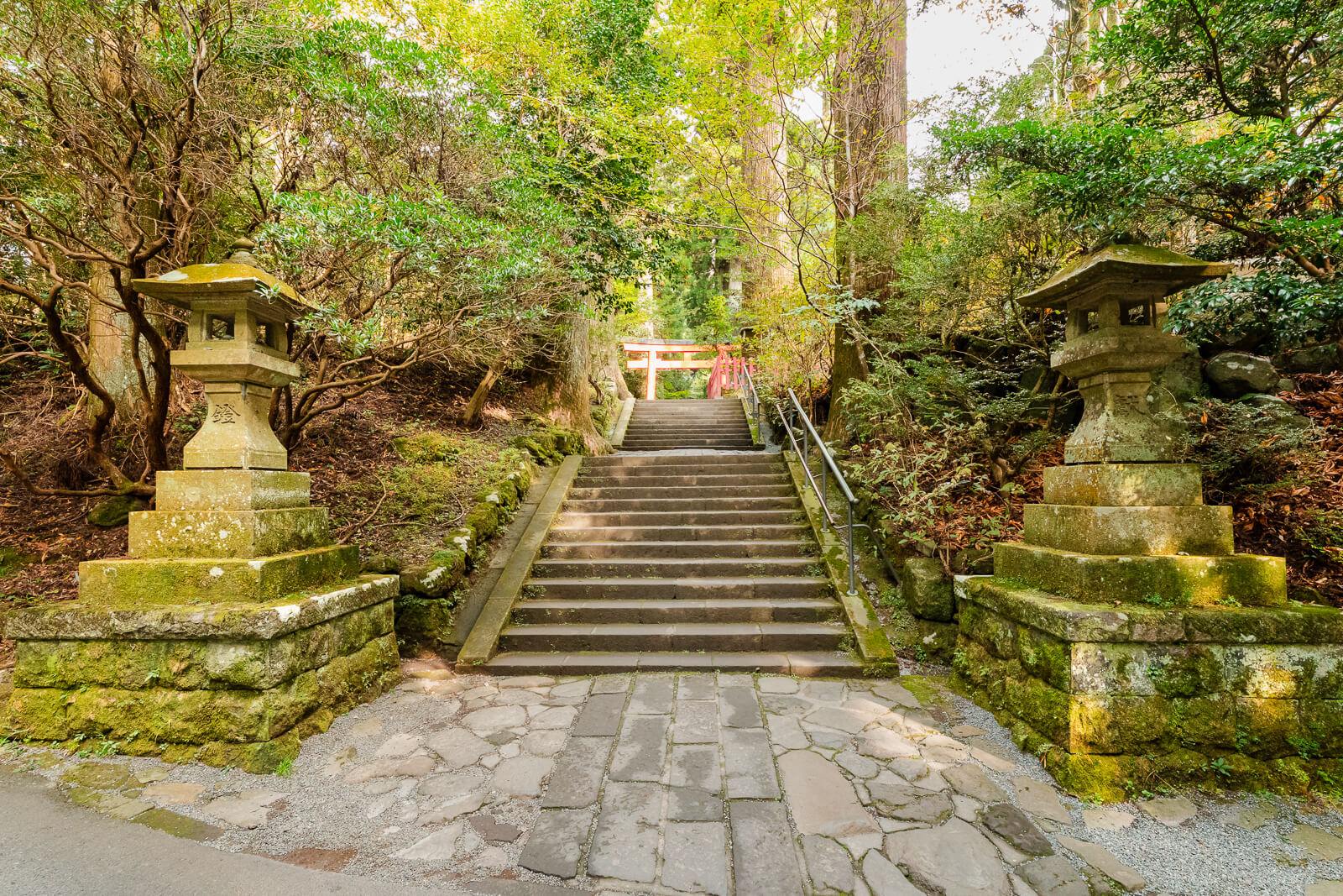 Stone steps climbing between moss-covered lanterns and tall cedar trees at Hakone Shrine in Motohakone