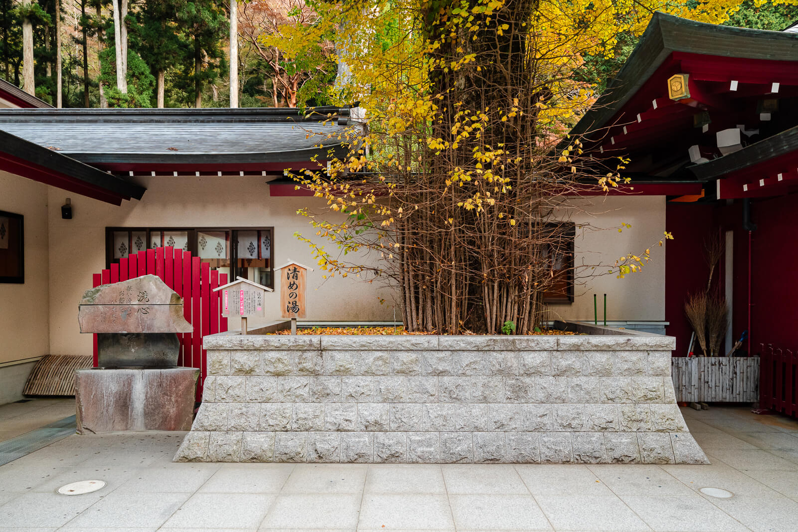 Small red shrine structure, white walls and a yellow-leaved tree at Hakone Shrine in Motohakone