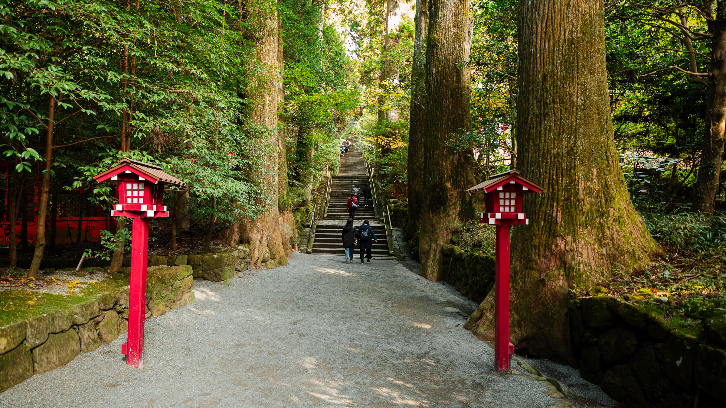 Hakone Shrine Guide: Red Torii, Grounds & Visit Time