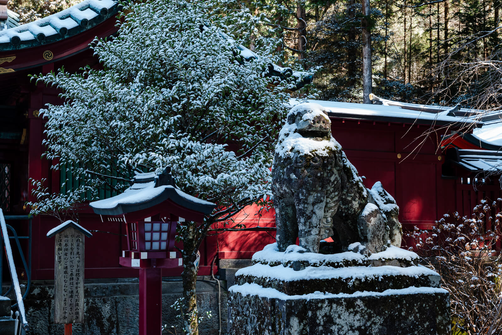 Light snow on a stone guardian, trees and red buildings at Hakone Shrine in Motohakone