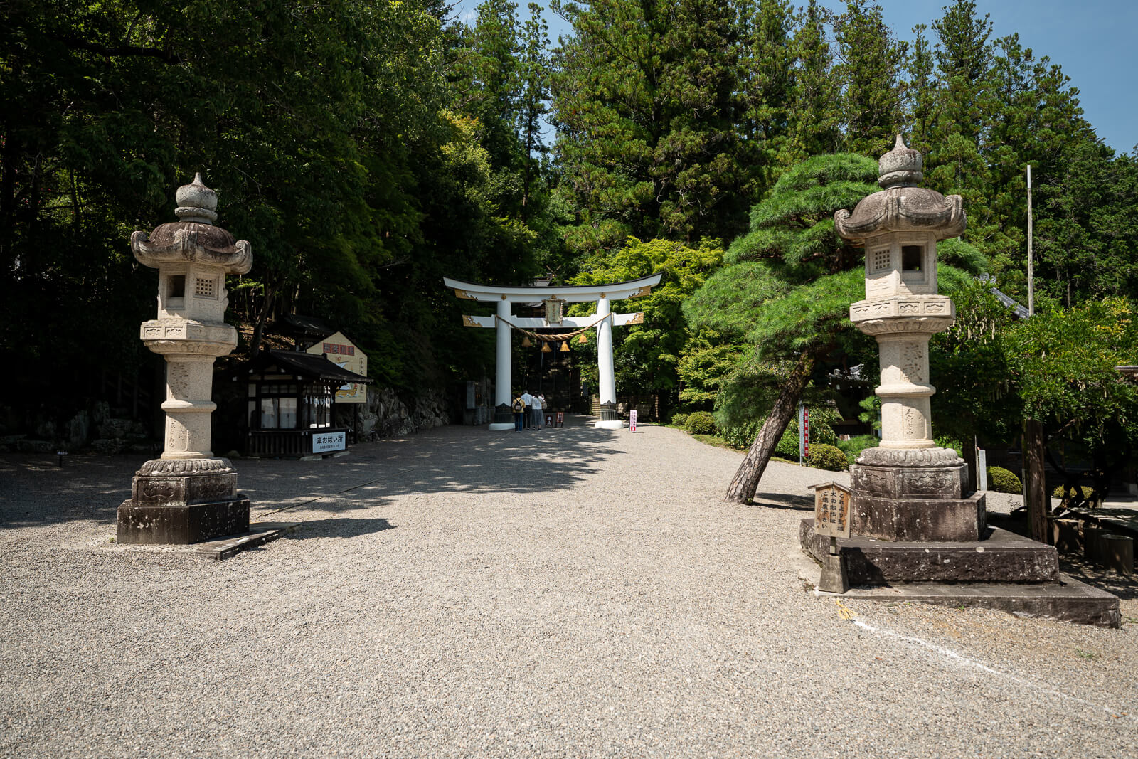 Open shrine grounds and surrounding forest at Hodosan Shrine in Nagatoro